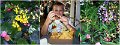 09 Honolulu Waikiki7